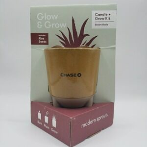 Modern Sprout Glow & Grow DESERT OASIS Candle & Grow Kit - Aloe Seed Chase Bank